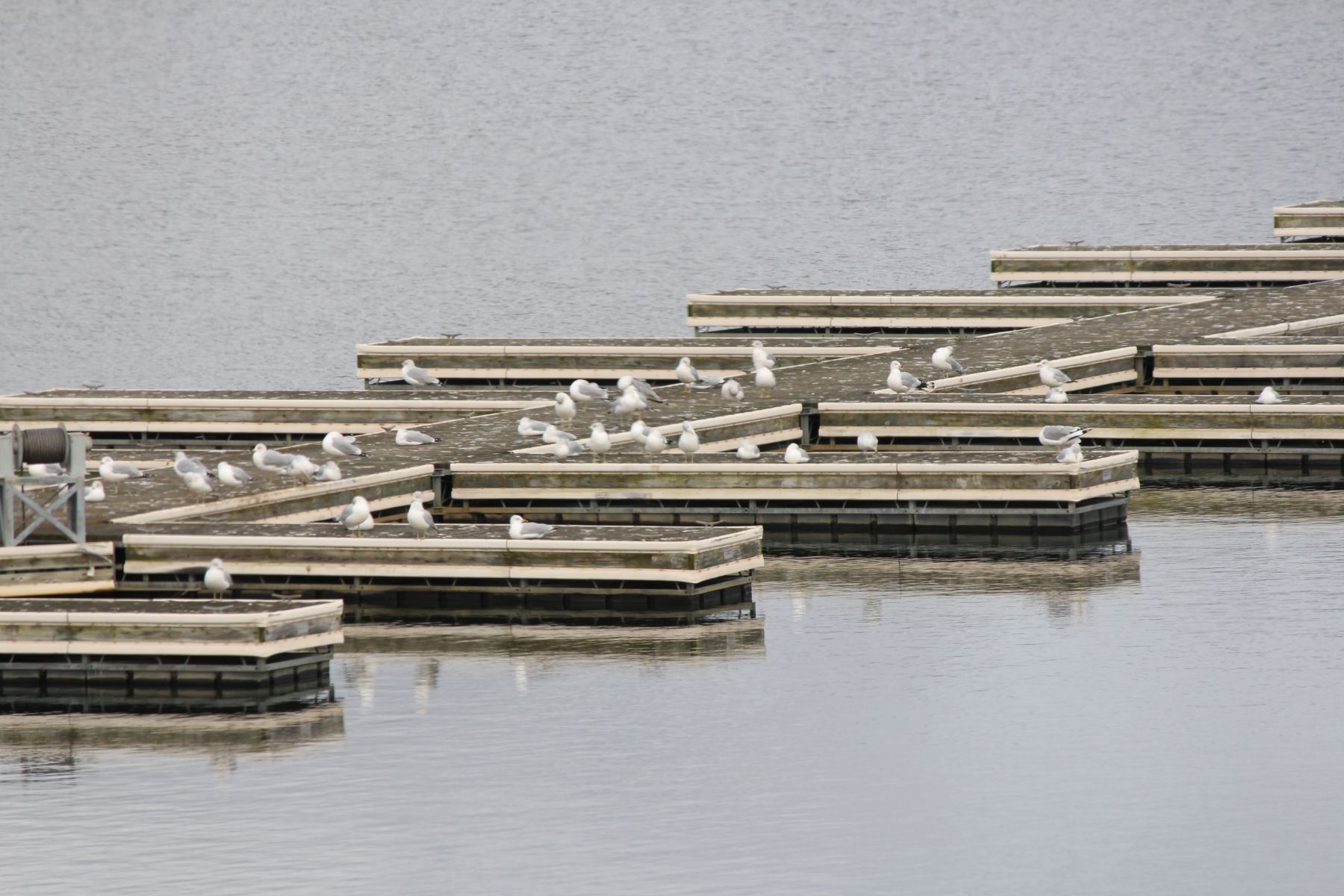 Boat Storage Boat Slips