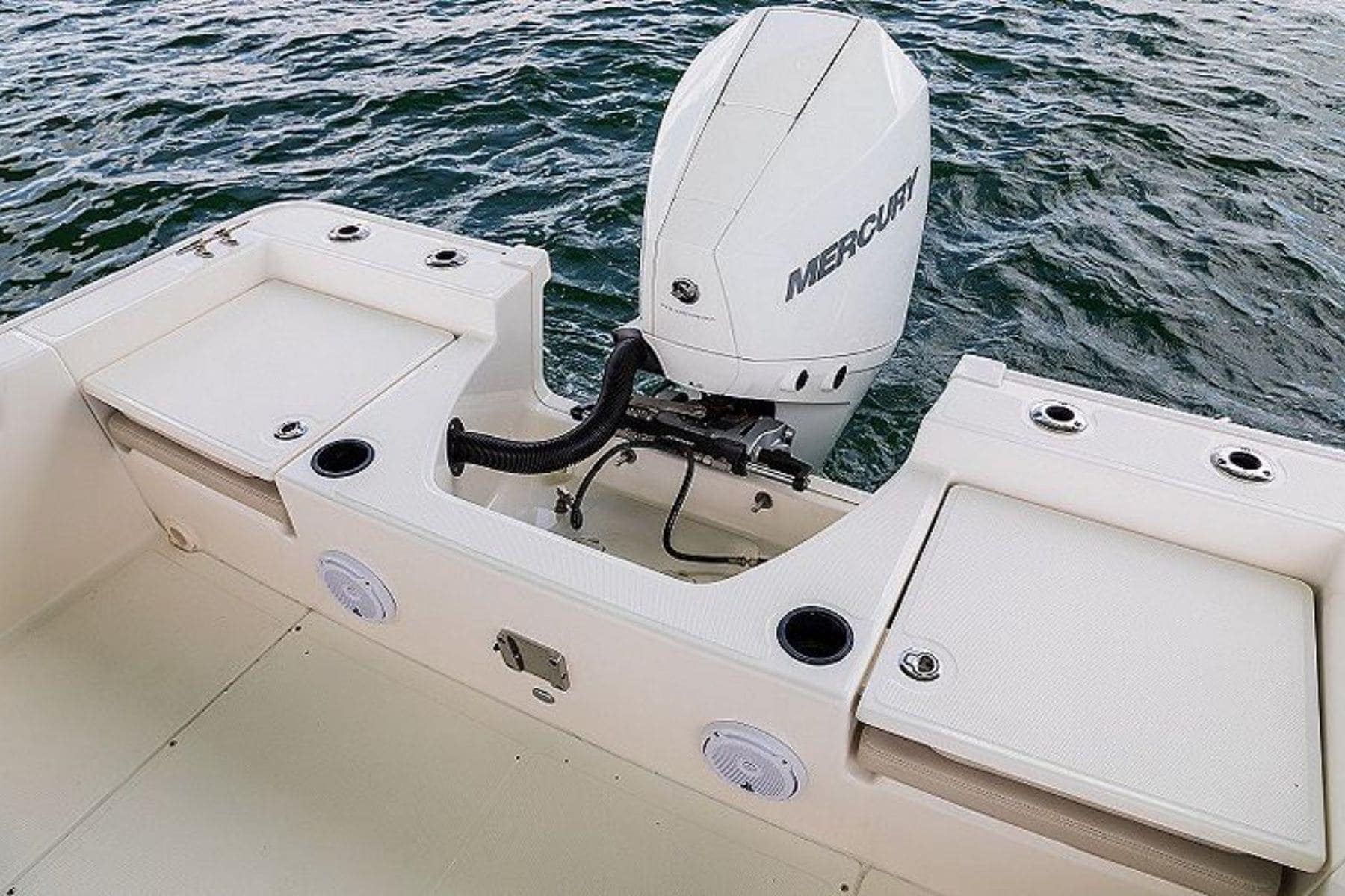 Boston Whaler Montauk Engine