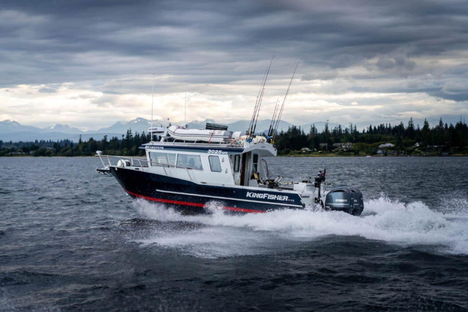 Kingfisher 3025 GFX