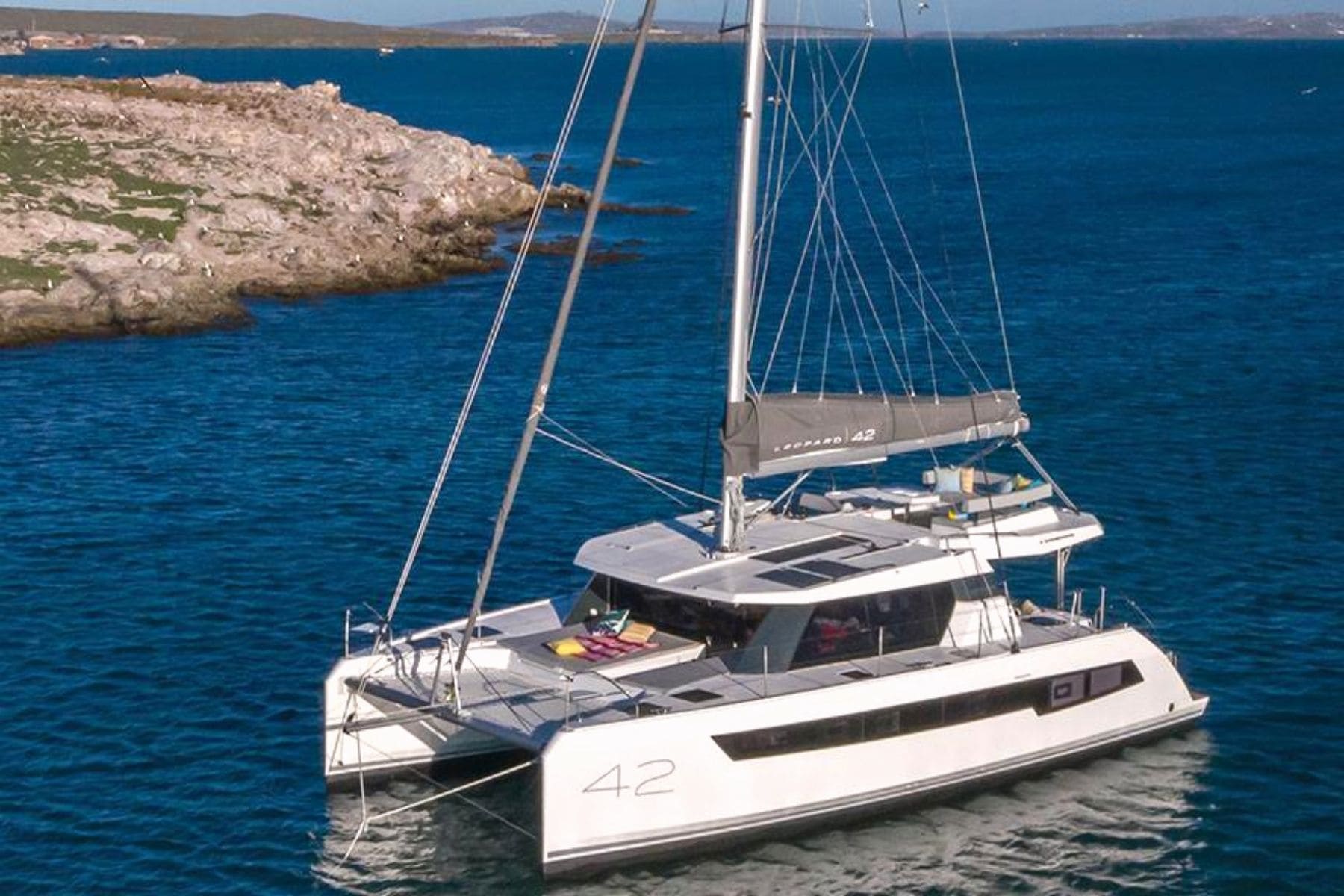 Leopard 42