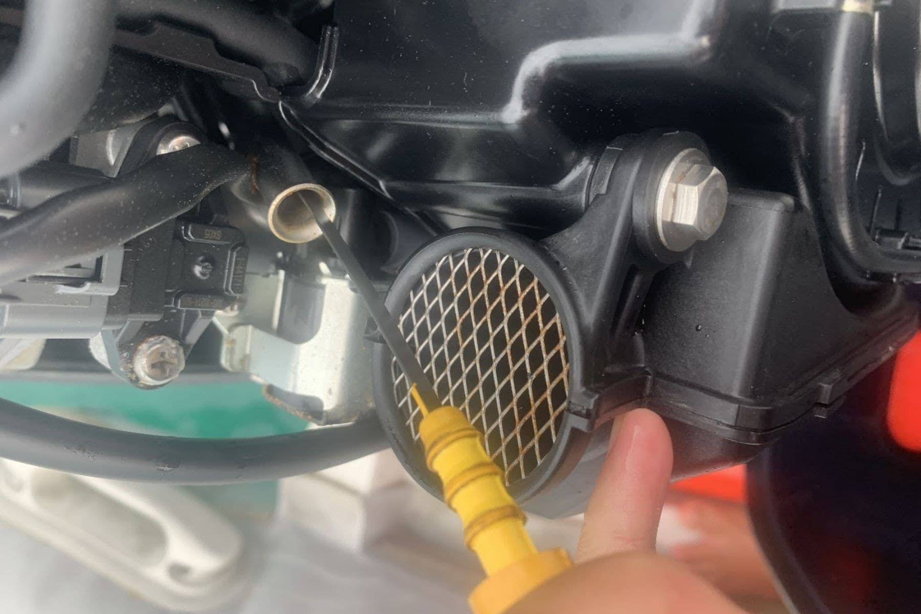 Outdoor Motors Checking Oil