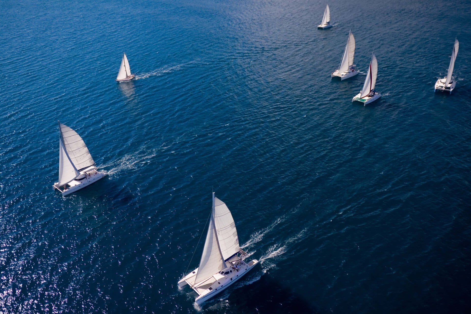 Regatta In Indian Ocean, Sailboat And Catamaran. Helicopter View