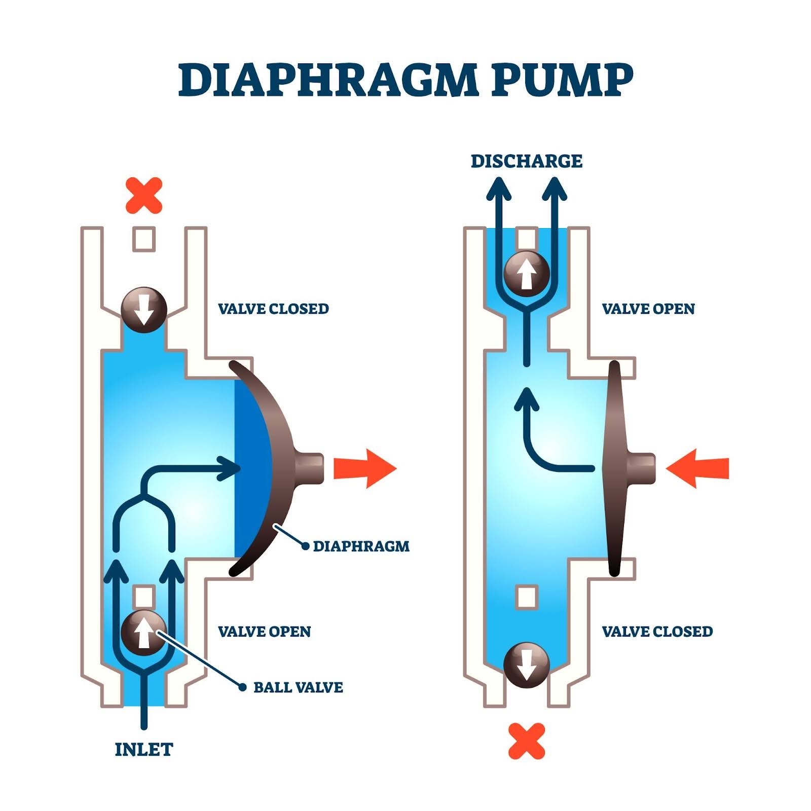 Bilge Pumps Guide Diaphragm Pump
