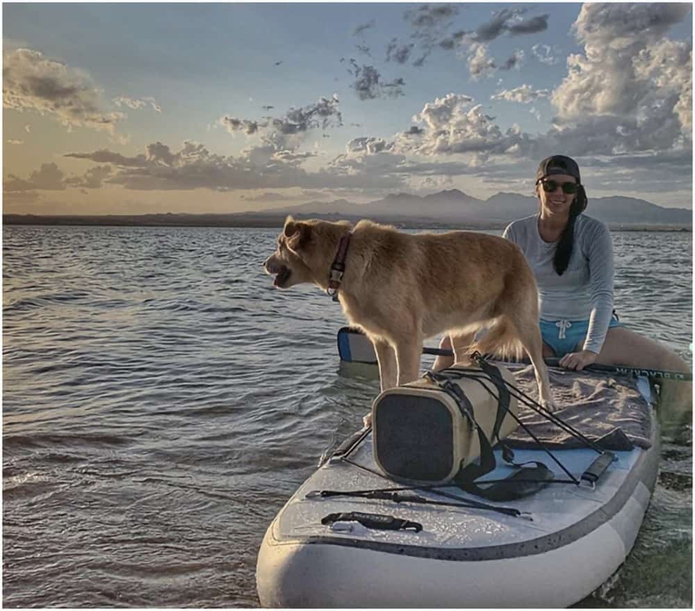 Blackfin V With Dog