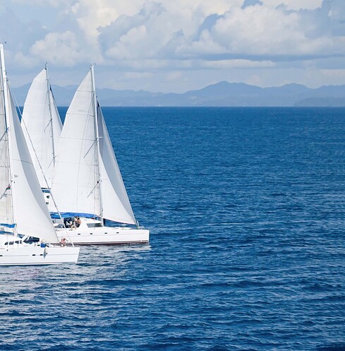 Racing Catamaran Sailboats