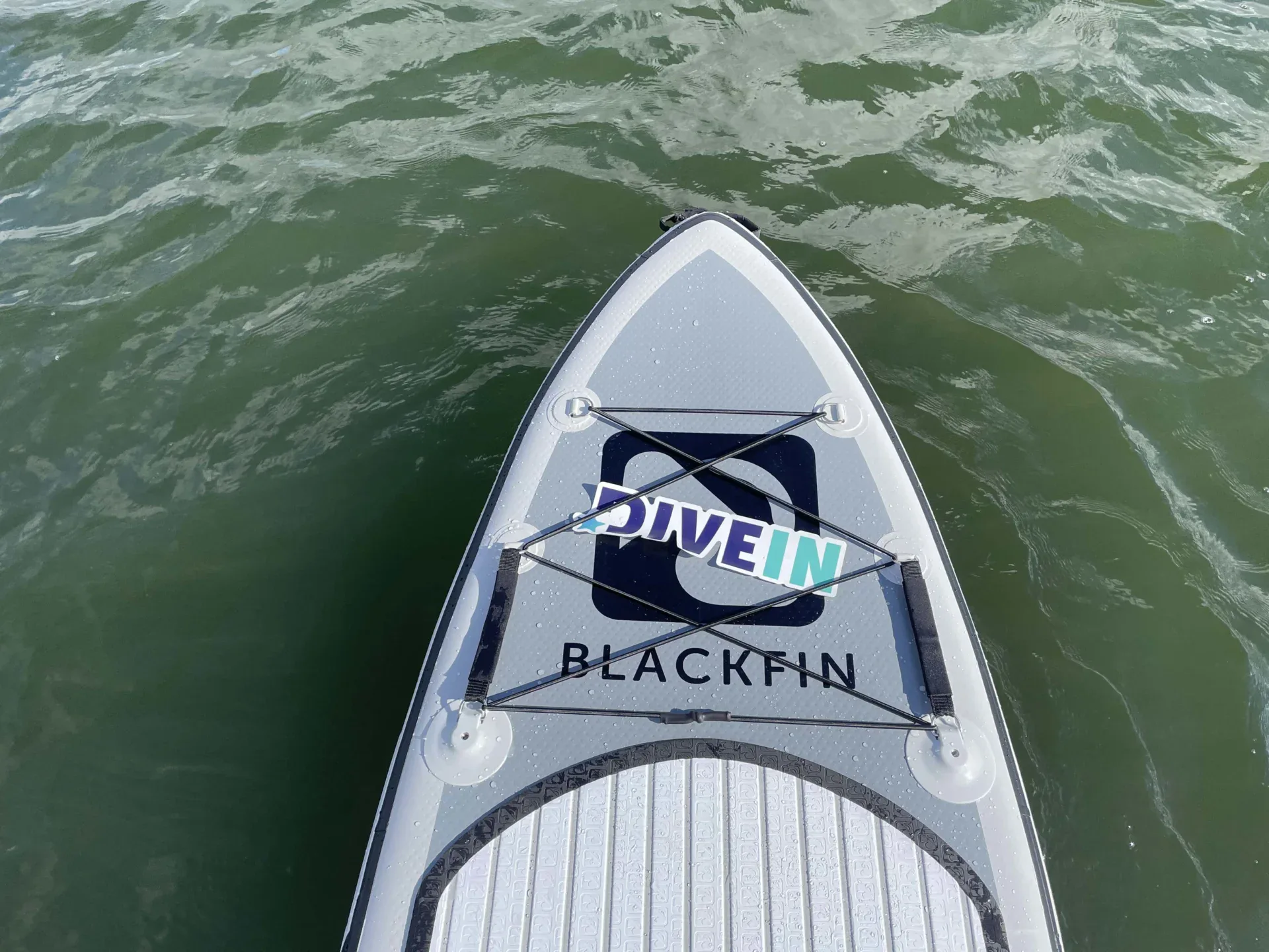 Blackfin 46