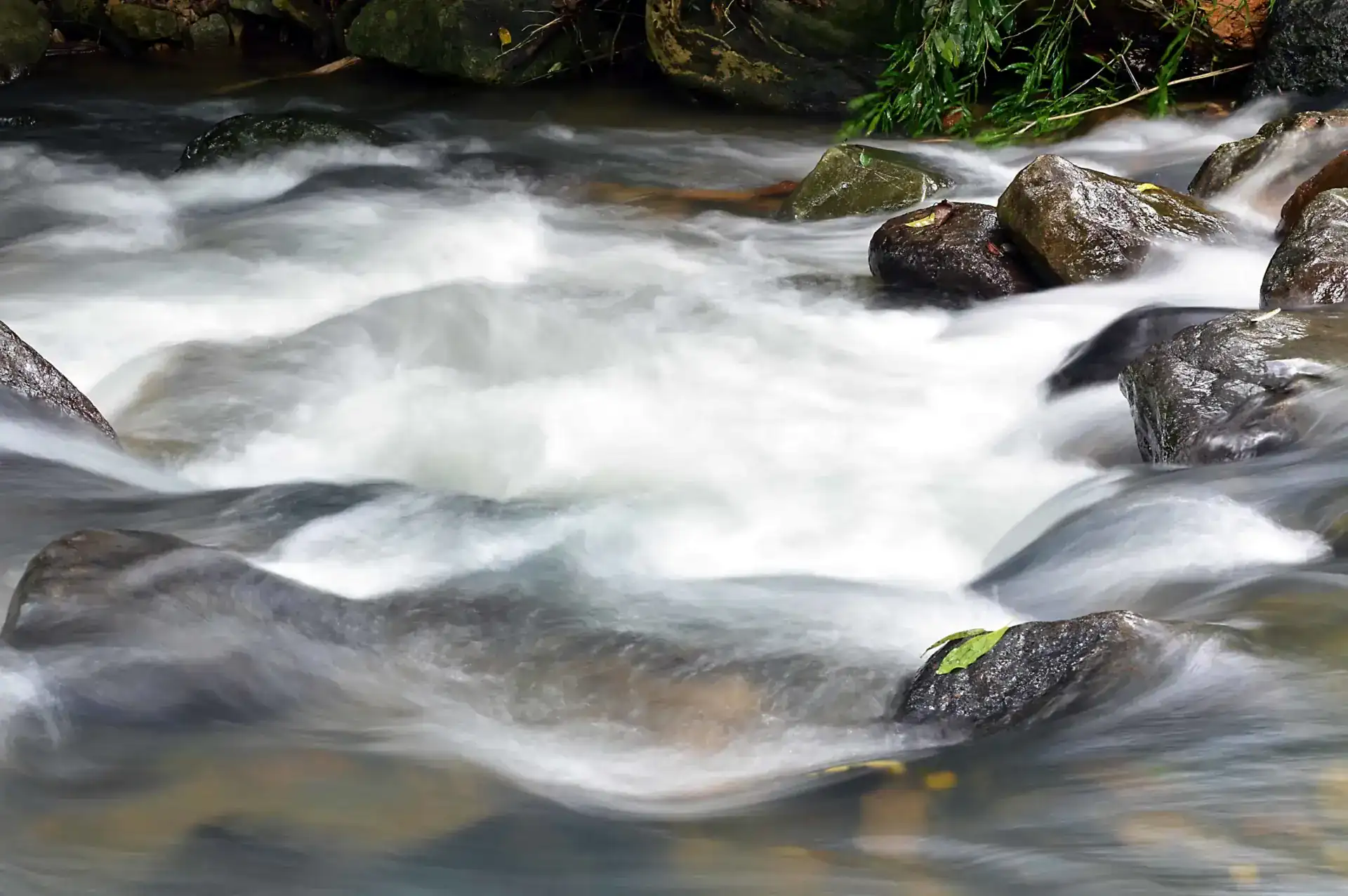 Still And Moving Water